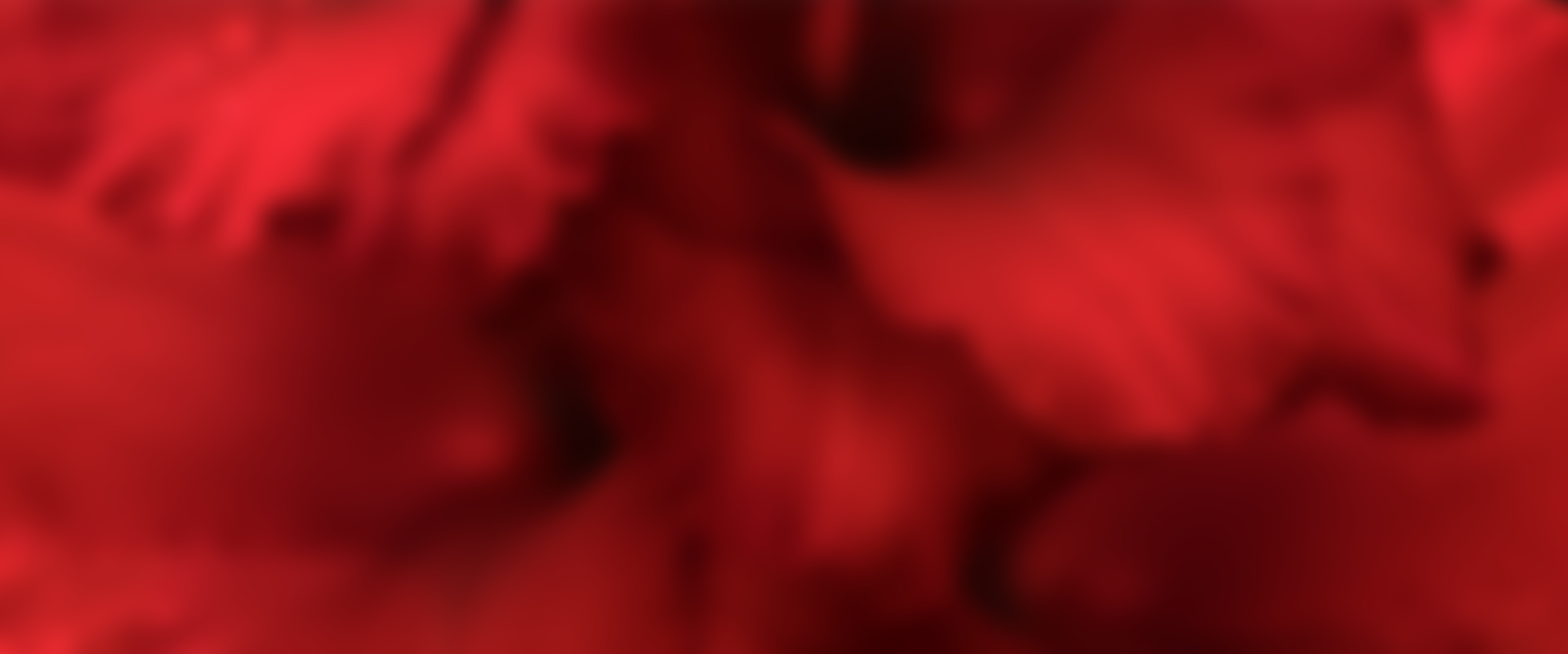 sfondo rosso sfocato | Kléral System