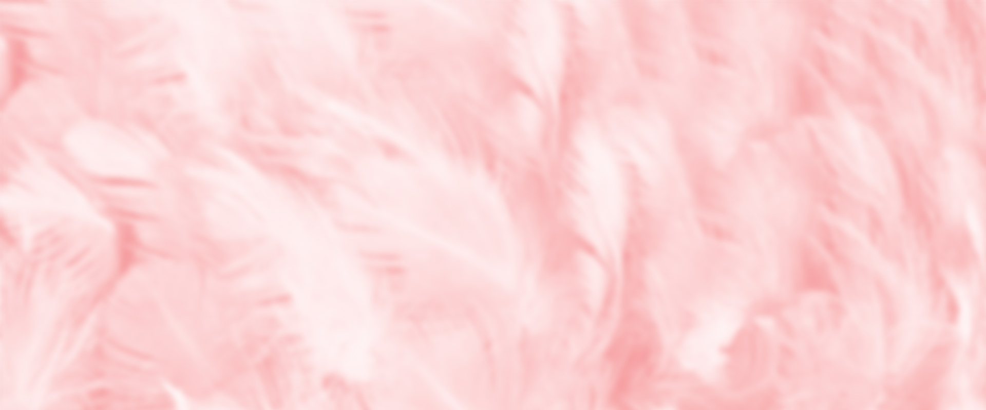 Pattern rosa | Kléral System