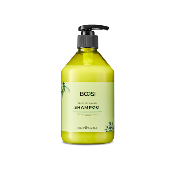 Shampoo Ricovery Damage 500ml